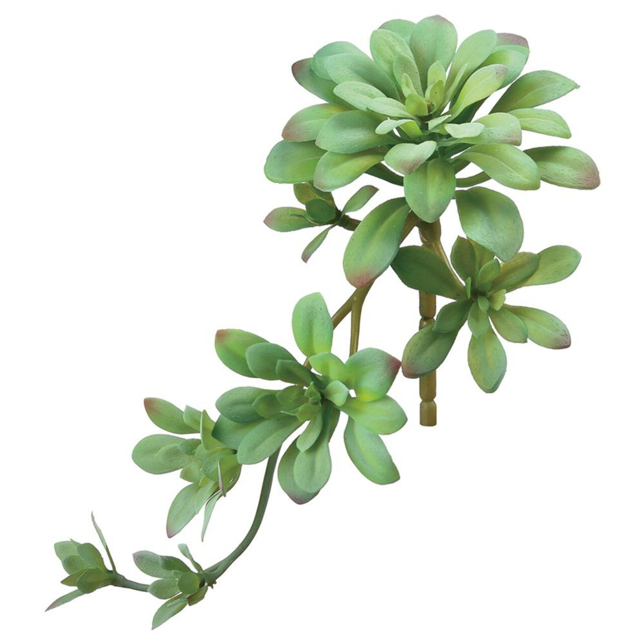 Allstate Aeonium Succulent Artificial Pick Spray - 11.75" - Green